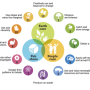 permaculture_principles_synergiehub.png
